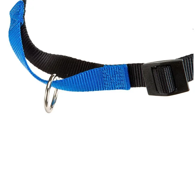 Шлейка Ferplast Coach P M Harness Blue для дресирування, A: 20x26 см, B: 42x59 см