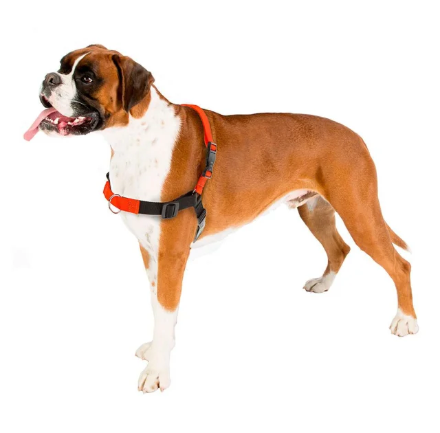 Шлейка Ferplast Coach P M-L Harness Orange для дрессировки, A: 20x26 см, B: 42x59 см