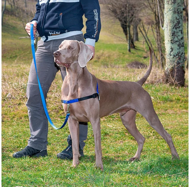 Шлейка Ferplast Coach P M-L Harness Blue для дресирування, A: 20x26 см, B: 42x59 см