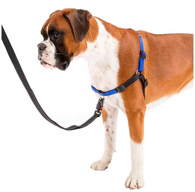 Шлейка Ferplast Coach P S-M Harness Blue для дресирування, A: 15x18 см, B: 33x41 см