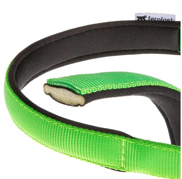 Нейлоновий нашийник Ferplast Daytona C20 / 43 Green для собак, зелений, A: 35x43 см, B: 20 ​​мм