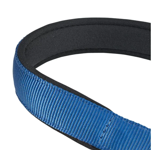 Нейлоновий нашийник з металевим ланцюжком Ferplast Daytona CSS25 / 65 Blue для собак, A: 65 см, B: 25 см