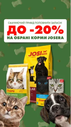 Смачнючий привід поповнити запаси!