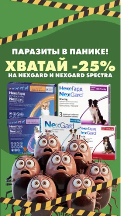 Хвостик под защитой – работает NexGard