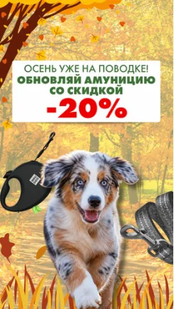 Осень уже на поводке!