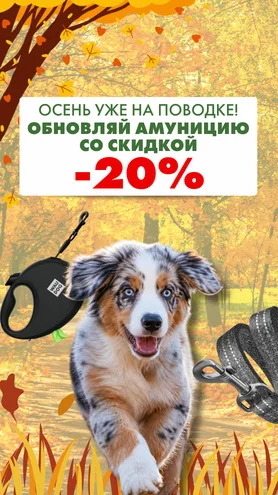 Осень уже на поводке!
