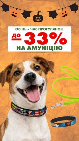Осінь – час прогулянок!