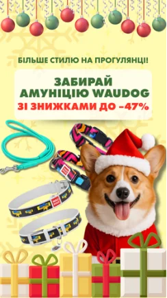 Додай характер кожній прогулянці!