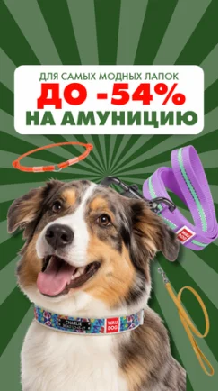 Для самых модных лапок – цены ещё приятнее!