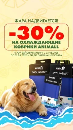 Жара надвигается!