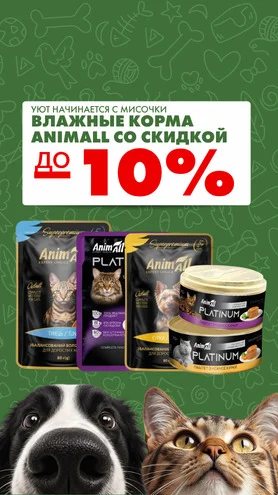 Уют начинается с мисочки