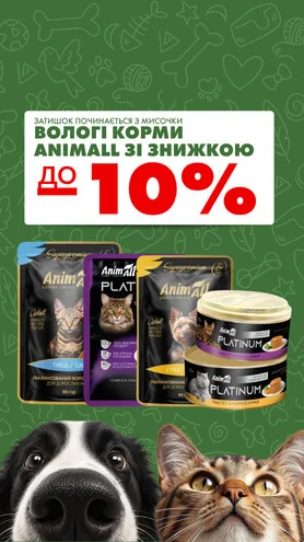 Затишок починається з мисочки