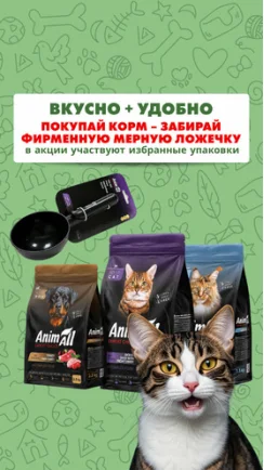 Вкусно хвостику – удобно пэт-родителям!