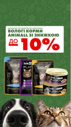 Затишок починається з мисочки
