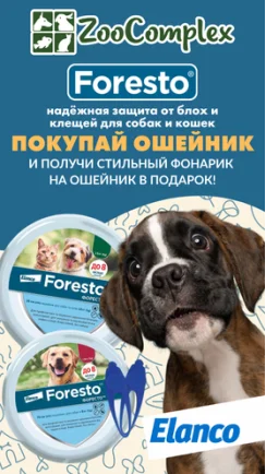 Покупай ошейник Foresto – получай подарок!