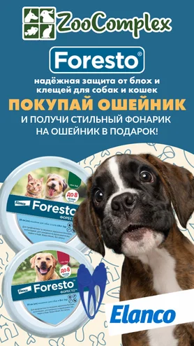 Покупай ошейник Foresto – получай подарок!