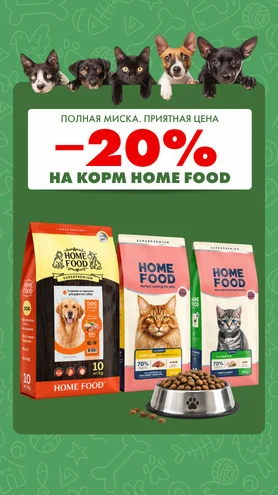 Полная миска по приятной цене