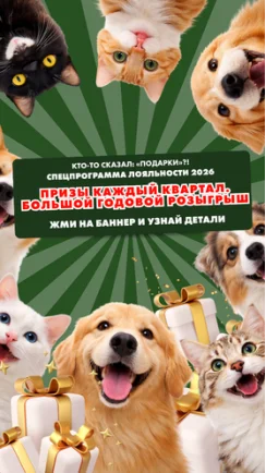Ежеквартальные призы, большой годовой розыгрыш