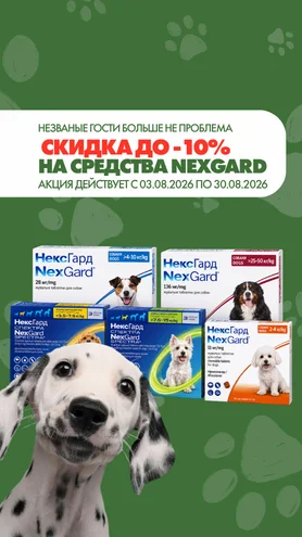 Незваные гости больше не проблема!