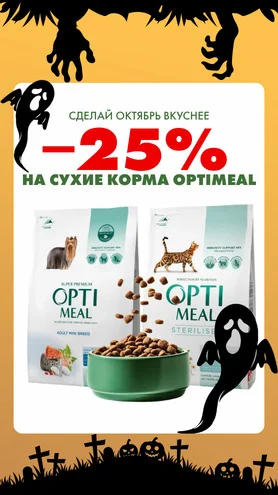 Октябрь становится ещё вкуснее!