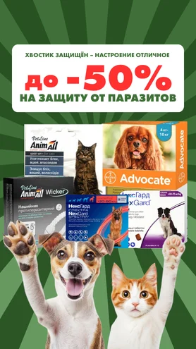 Любимец под защитой – отличное настроение