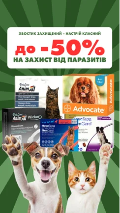 Хвостик захищений – настрій класний