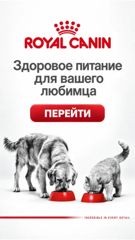 Royal Canin