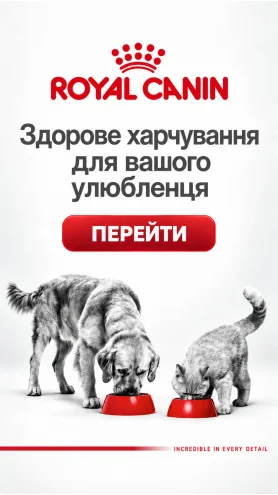 Royal Canin