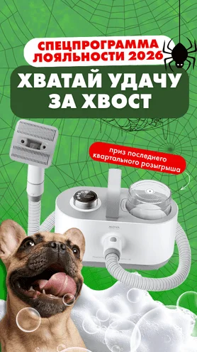 Ежеквартальные призы, большой годовой розыгрыш