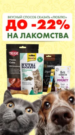Хочешь порадовать своего хвостика? Самое время!