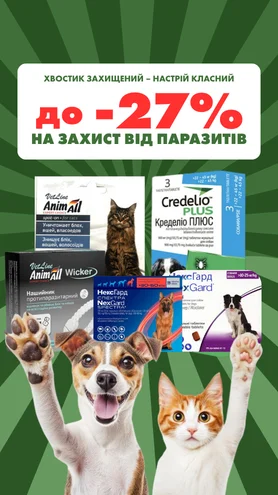 Хвостик захищений – настрій класний