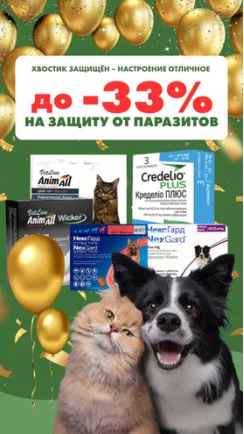 Любимец под защитой – отличное настроение