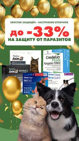 Любимец под защитой – отличное настроение
