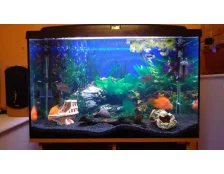 Покупка аквариумов и аксессуаров.