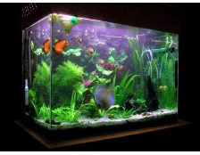 Как правильно укомплектовать аквариум