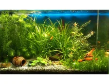 Акваріумний ґрунт