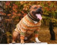 Зимовий одяг для собак