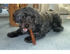 Їстівна іграшка для собаки