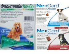 Купуйте NexGard та Frontline Combo Spot On поштучно
