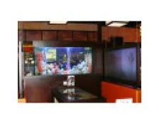 Який акваріум краще вибрати для ресторану та кафе