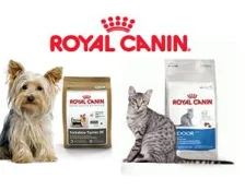 Кращий корм для котів та собак - Royal Canin