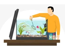 Обслуговування акваріумів