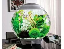 Чому каламутніє вода в акваріумі - Основні причини