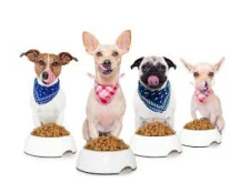 Корм для собак дрібних порід - Рейтинг кращих