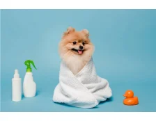 Як мити собаку після прогулянки