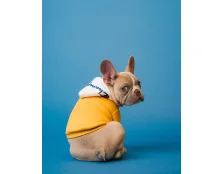 Розмір одягу для собак