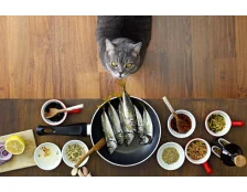 Чи можна годувати кішку рибою