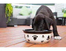 Чому цуценятам потрібен спеціальний корм