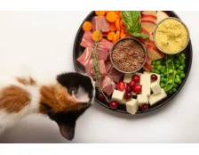 Ласощі для котів, які приносять користь