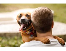 Емоційний зв’язок із собакою: турбота, яка формує довіру